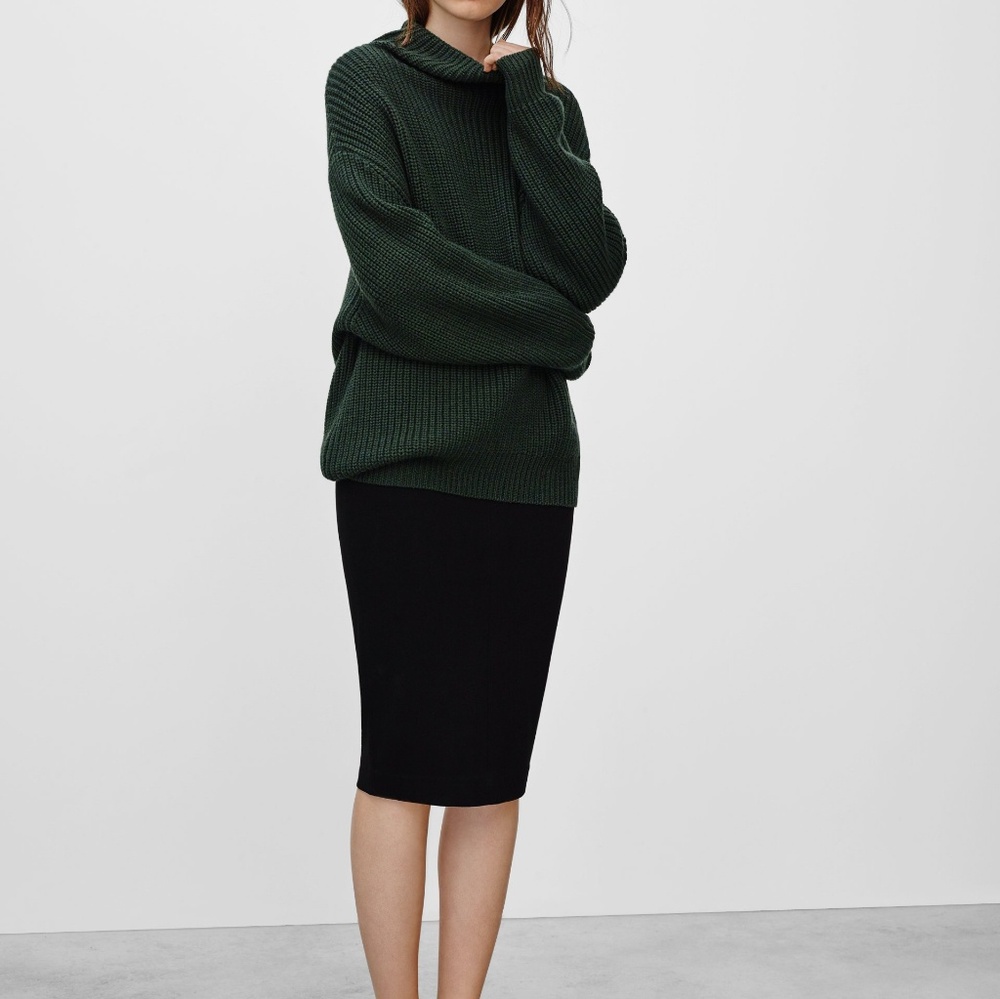 Aritzia Wilfred Lis Skirt